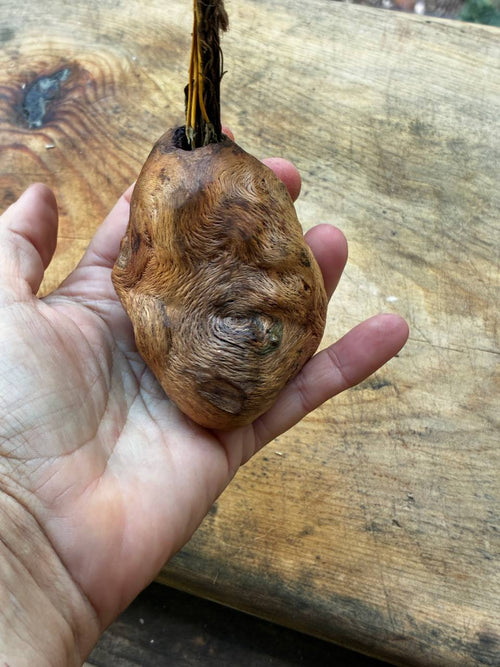Vase für Trockenblumen aus Baumperle