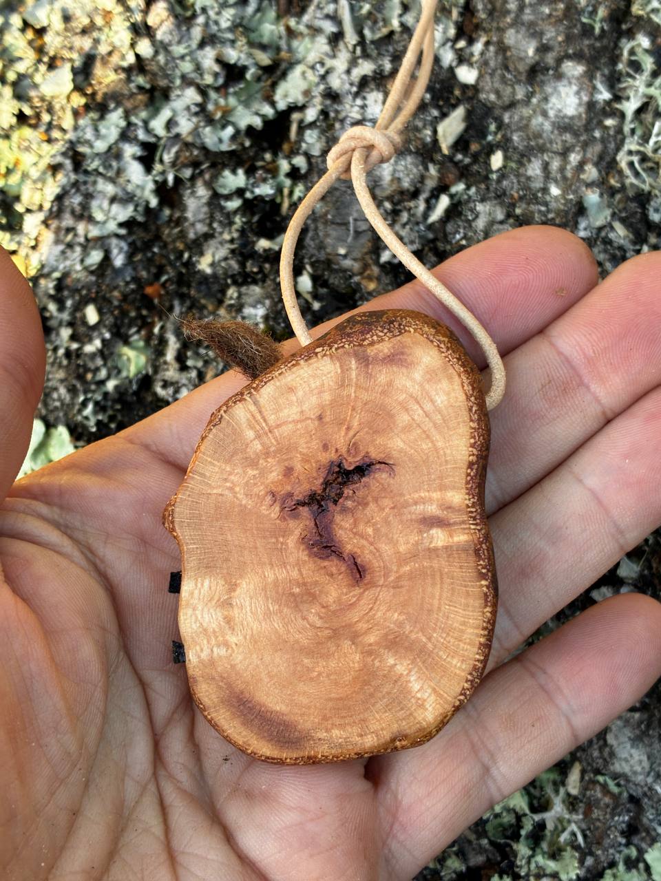Hobbit Tür aus Baumperle