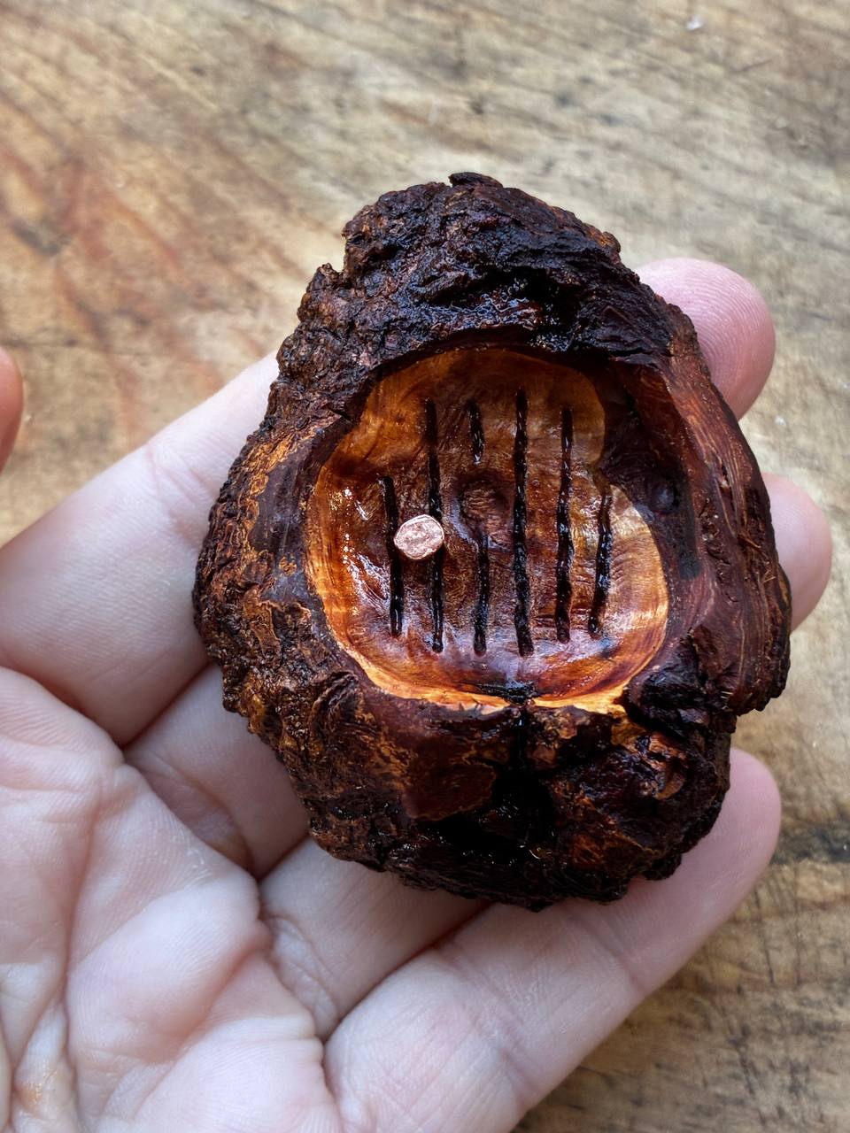 Hobbit Tür aus Baumperle