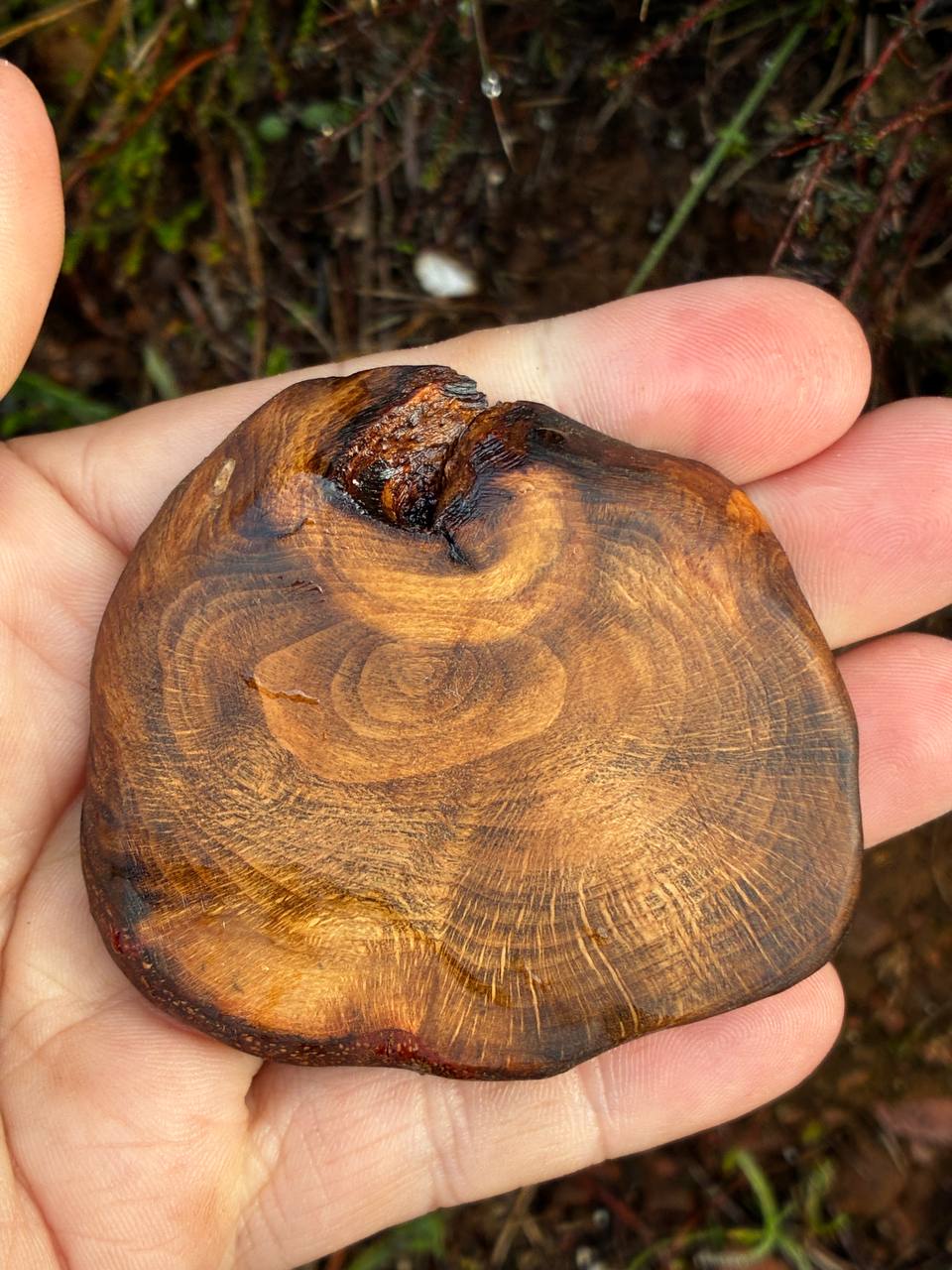Hobbit Tür aus Baumperle