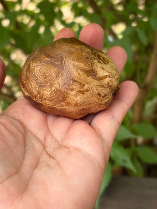 Schatulle aus Baumperle