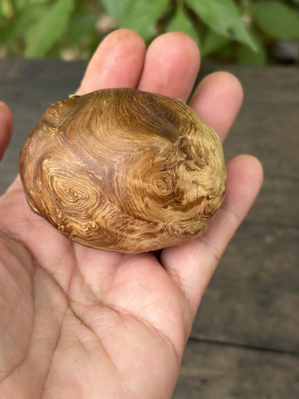 Schatulle aus Baumperle
