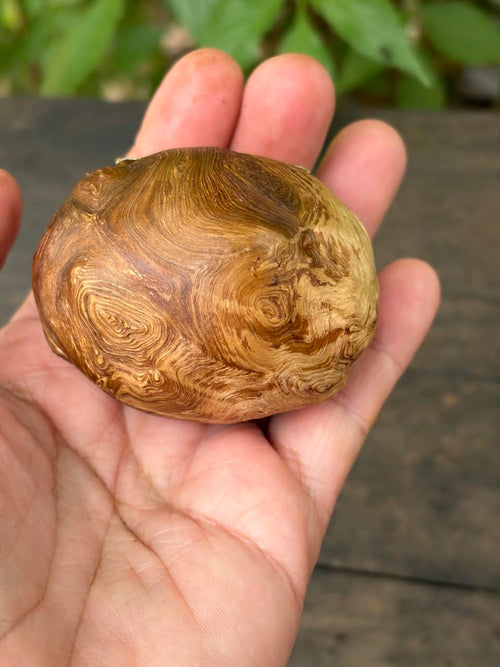 Schatulle aus Baumperle