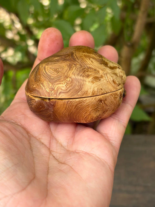 Schatulle aus Baumperle