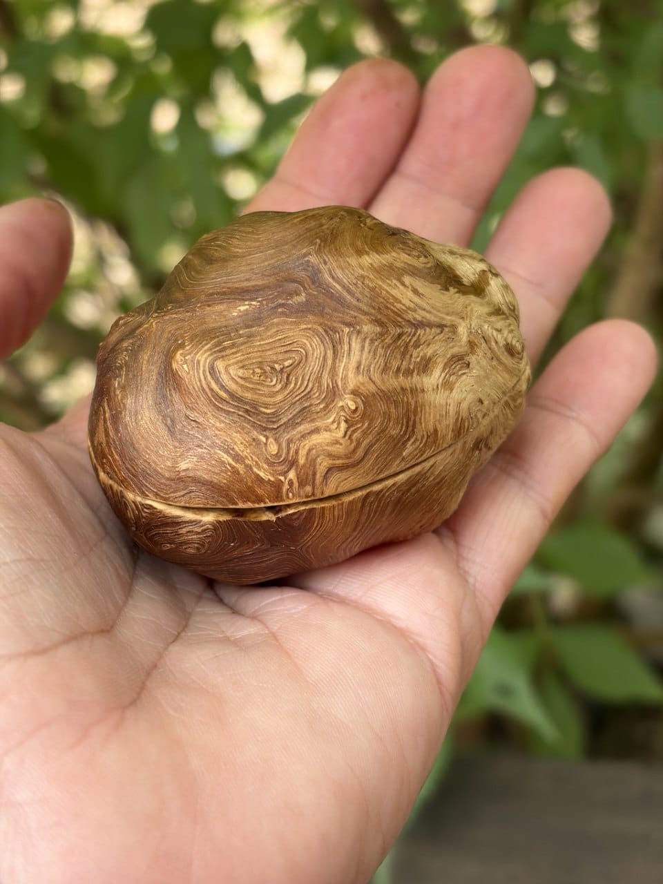 Schatulle aus Baumperle