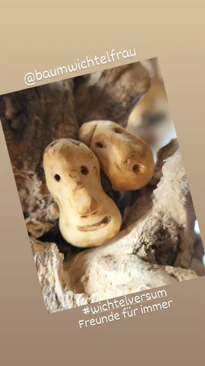  Kundenfoto 11