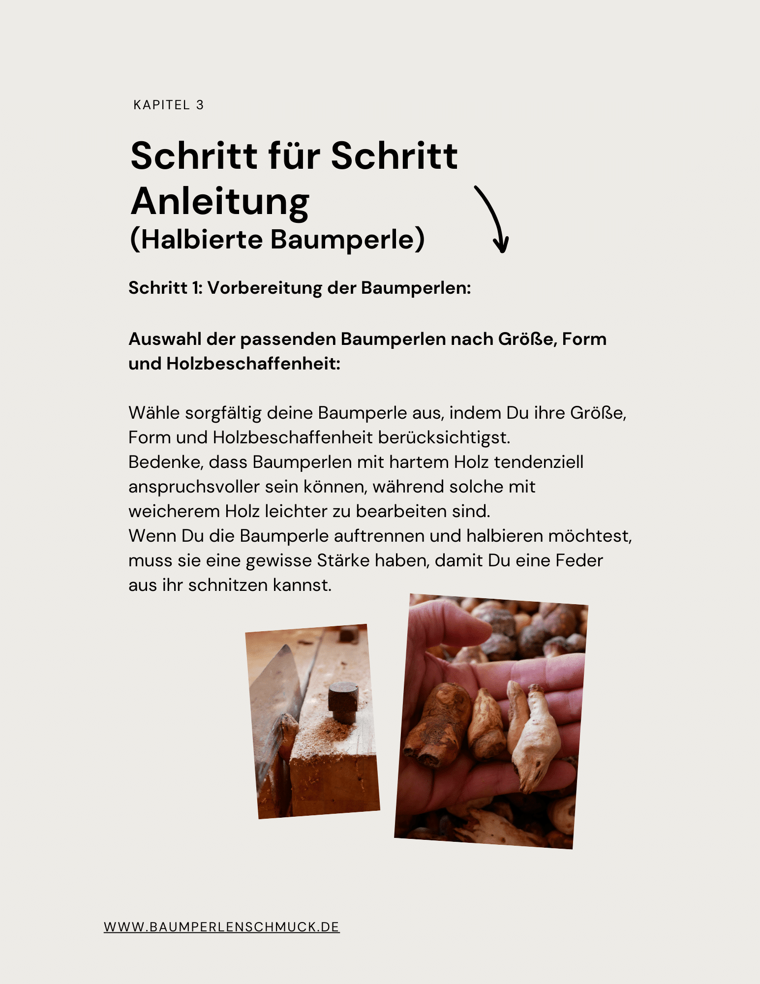 Buch Federn schnitzen