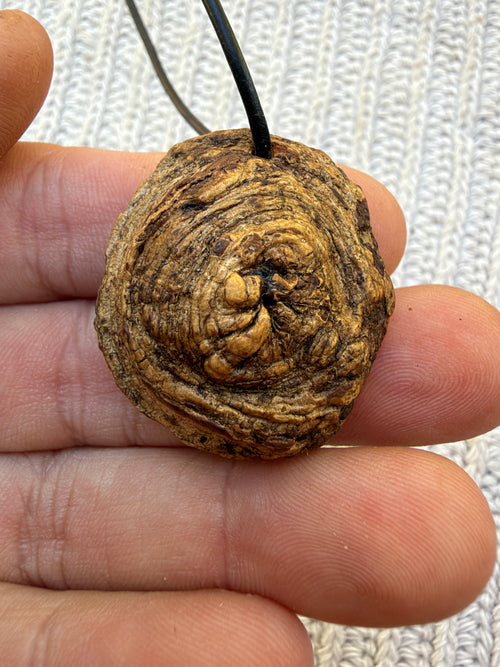 Buddha in Baumperle