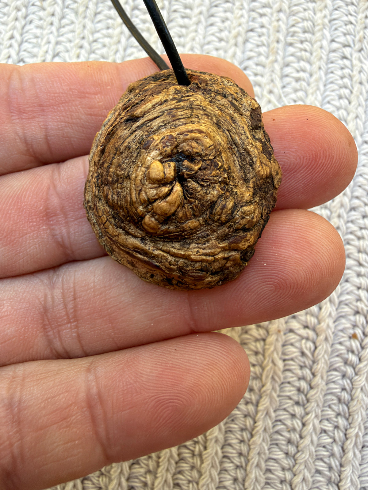 Buddha in Baumperle