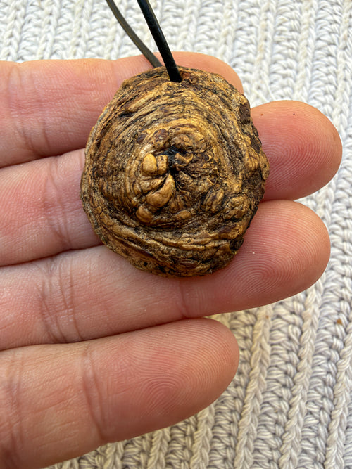 Buddha in Baumperle
