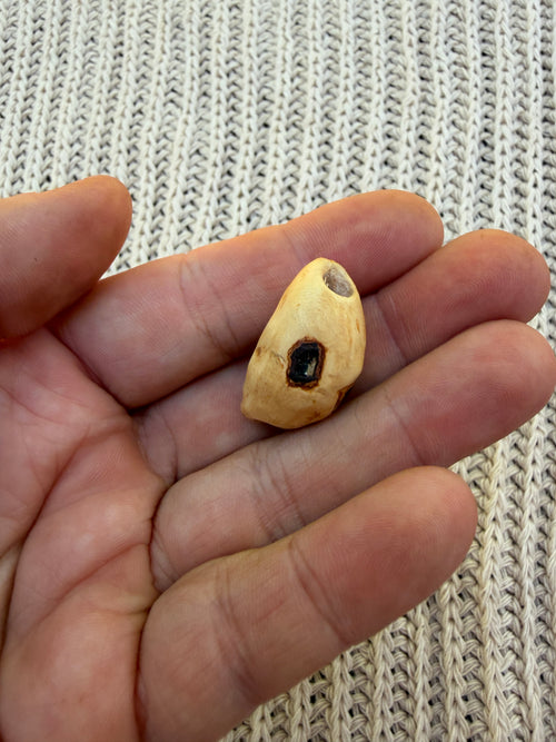 Dreadperle, Dreadwichtel Moosel