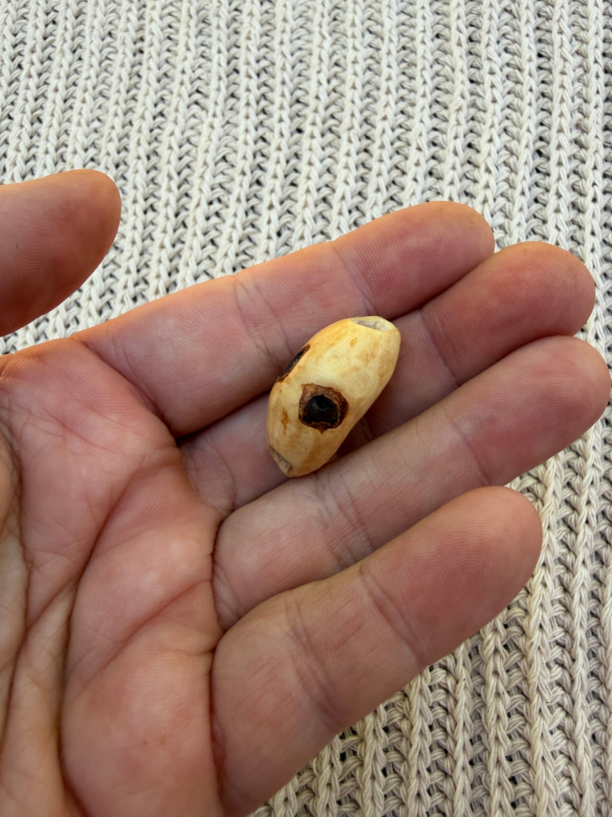 Dreadperle, Dreadwichtel Moosel