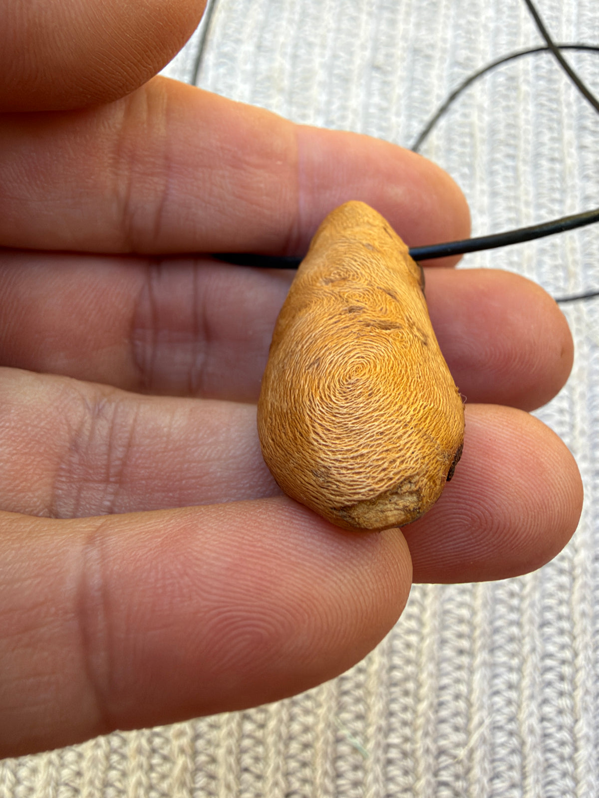 Buddha in Baumperle