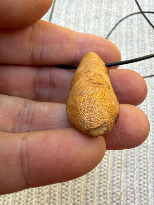 Buddha in Baumperle