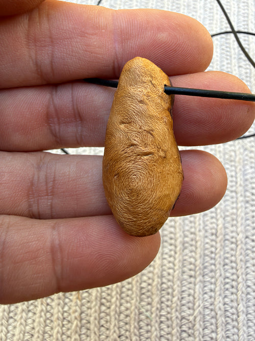 Buddha in Baumperle