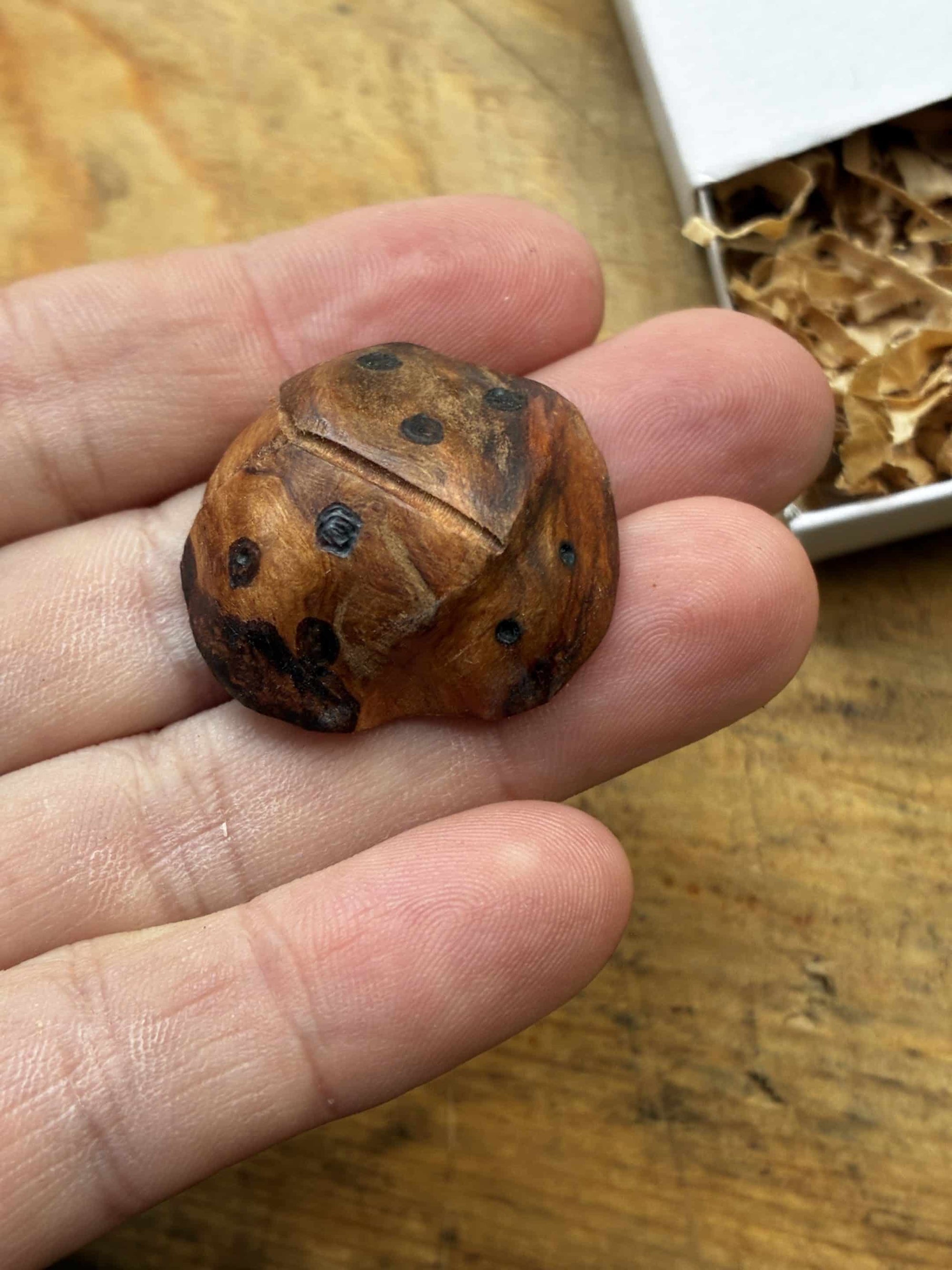 Käfer aus Baumperle geschnitzt. Handschmeichler Glückskäfer