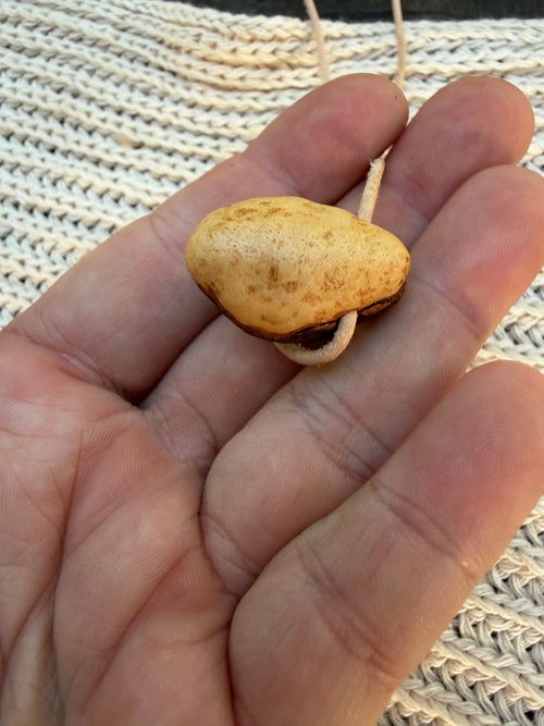 Wichtel Anhänger Schatti