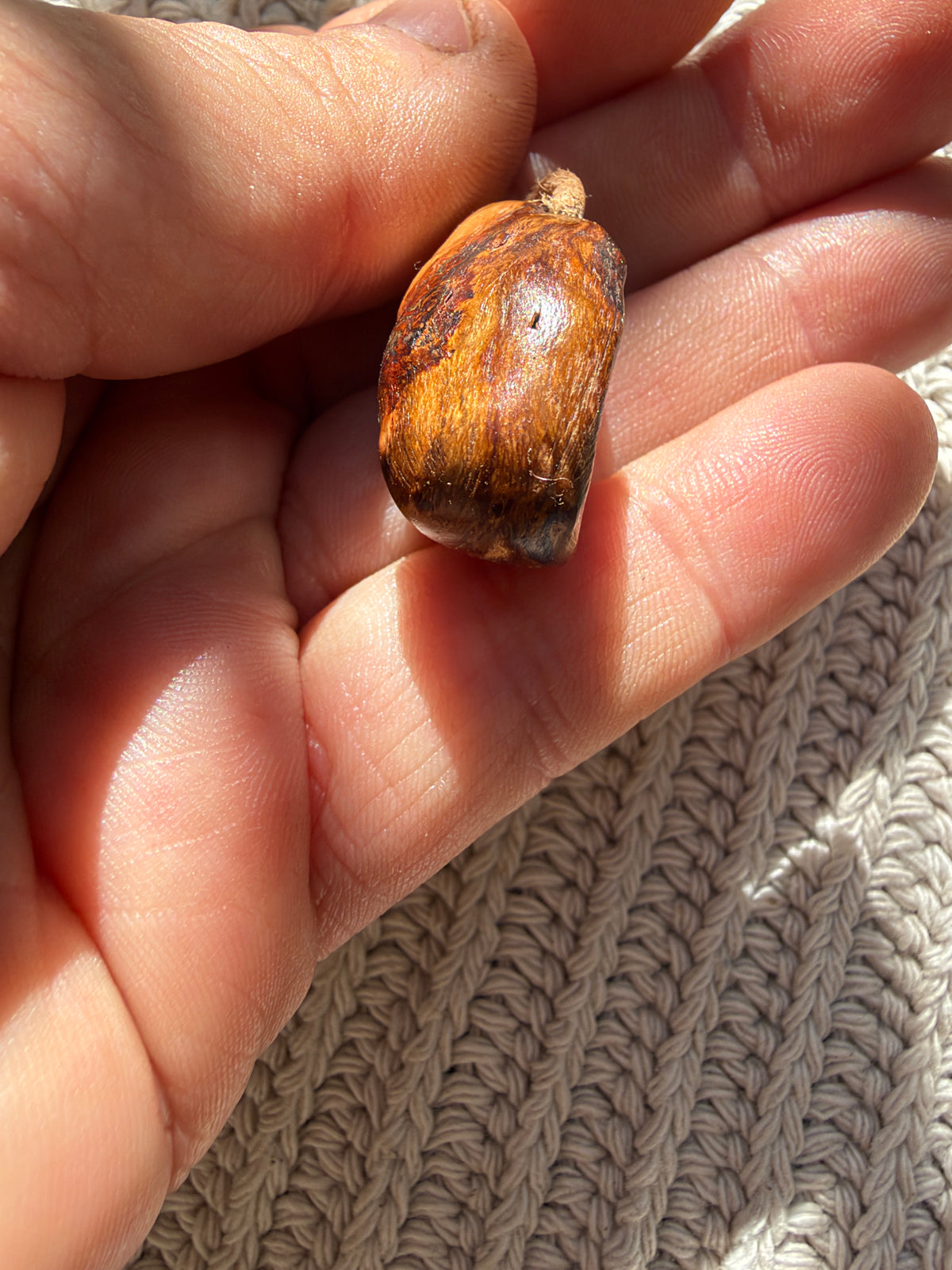 Baumperle mit Rabe