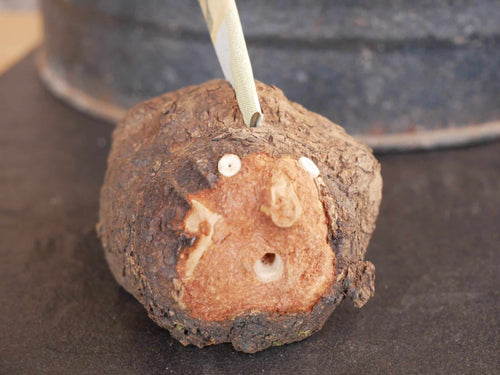 Sparschwein aus Baumperle