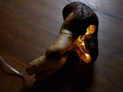 Lampe aus einer Baumperle