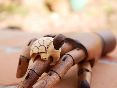 Schildkröte aus Baumperle mit beweglichem Kopf als Ring