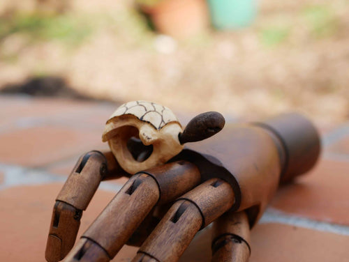 Schildkröte aus Baumperle mit beweglichem Kopf als Ring