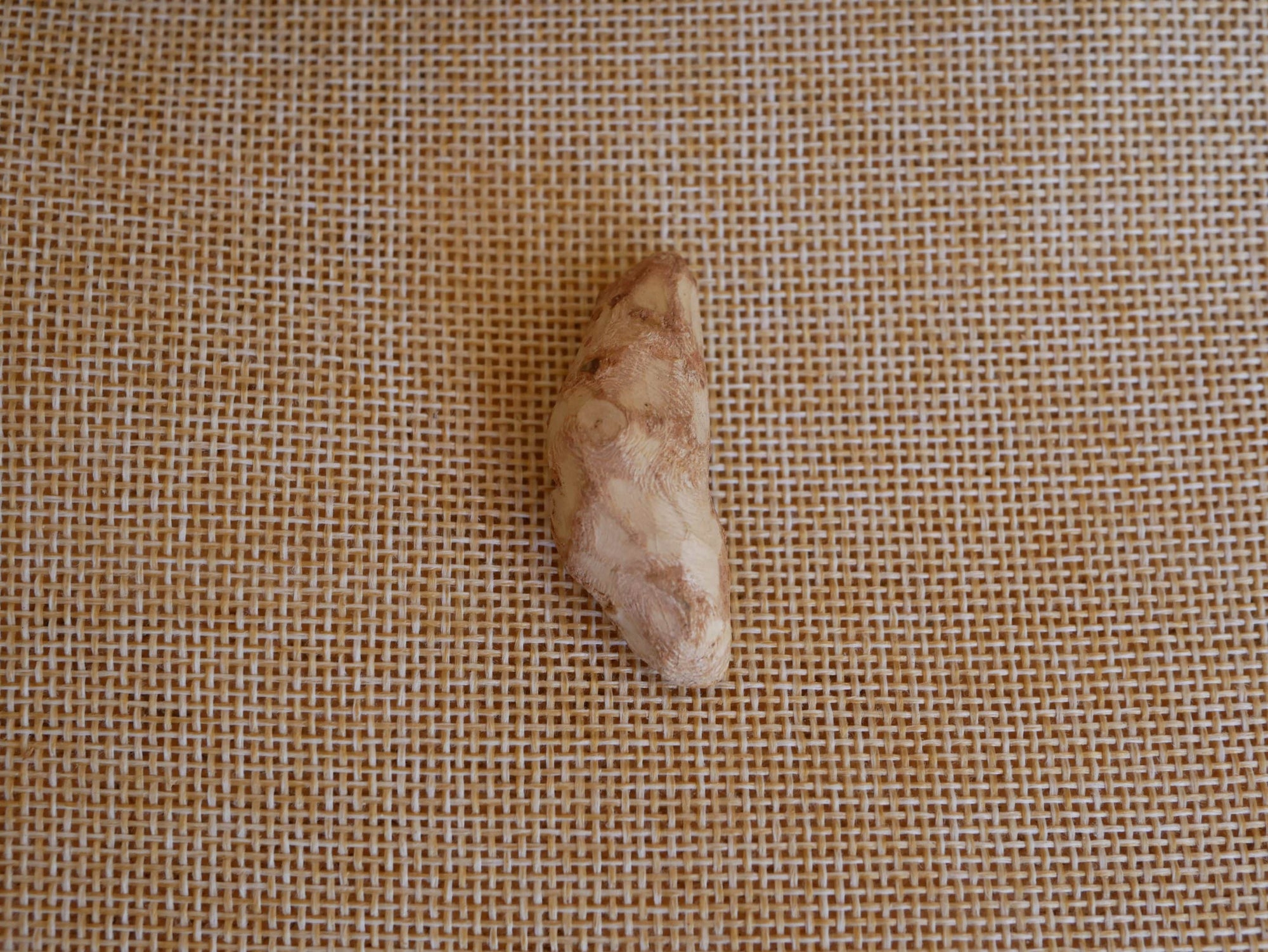 Baumperle Federohrringe