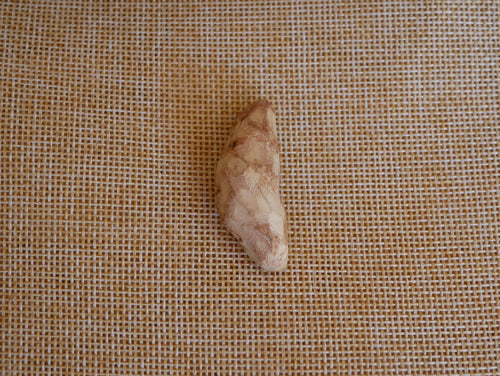 Baumperle Federohrringe