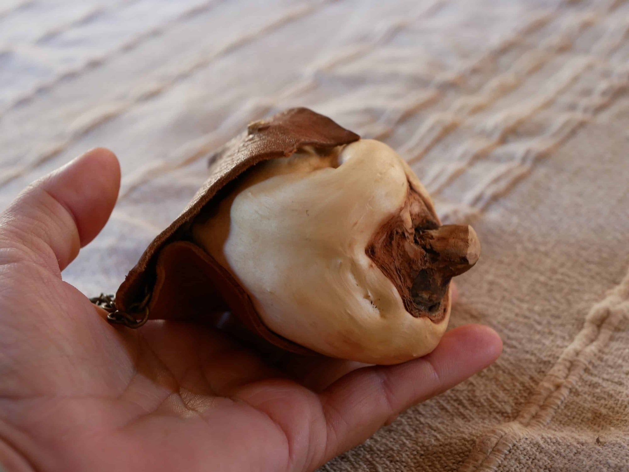 Orakel Baumperle