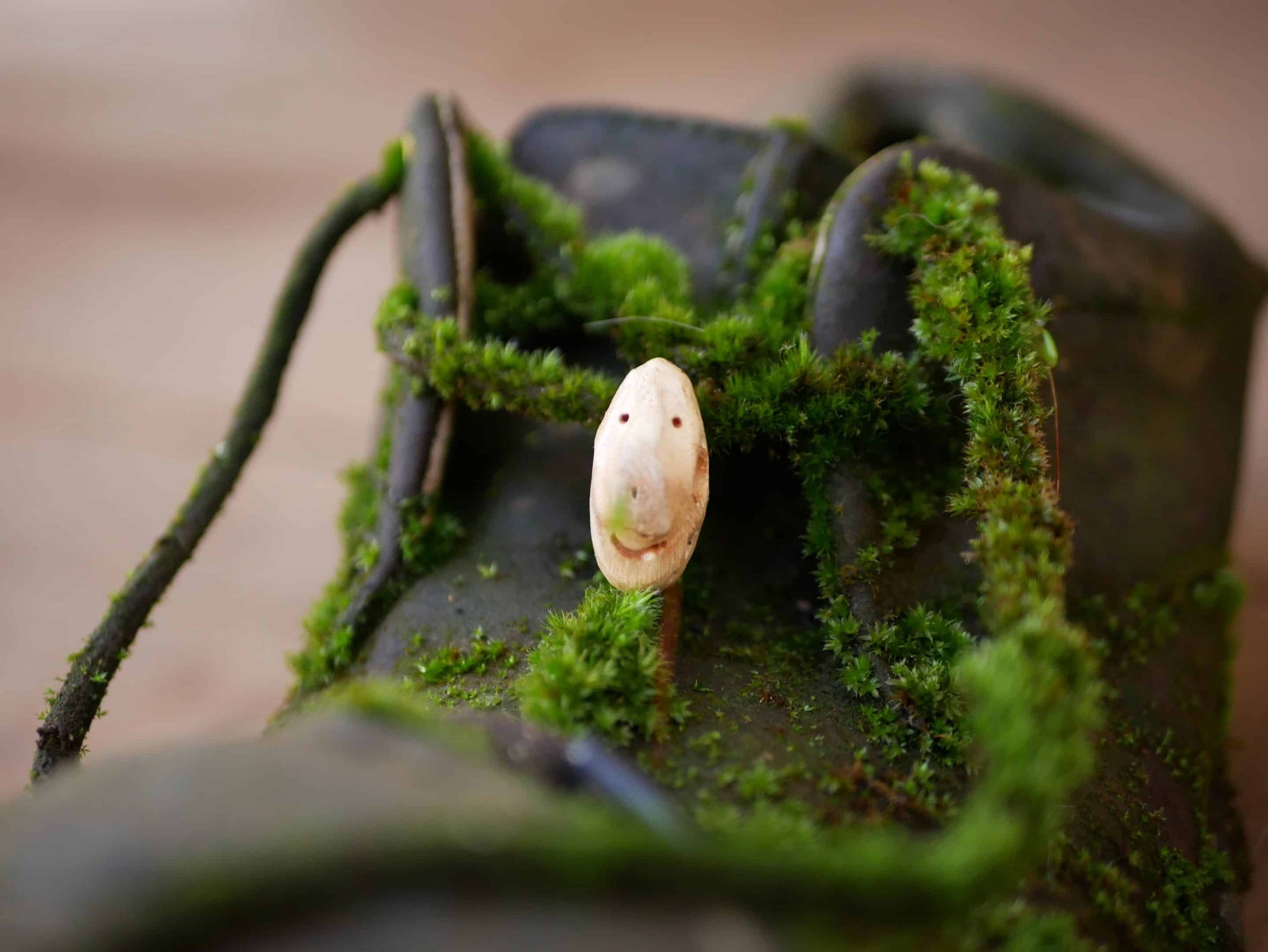 Schuhwichtel aus Baumperle