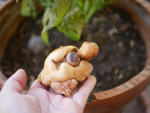 Schildkröte aus Baumperle