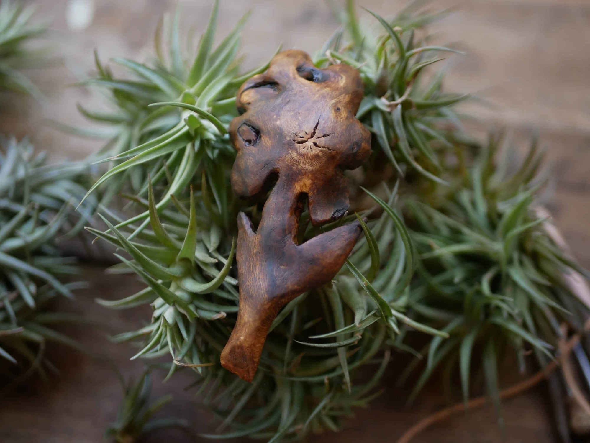 Blume aus Rosenholz mit einem Labradorit Stein