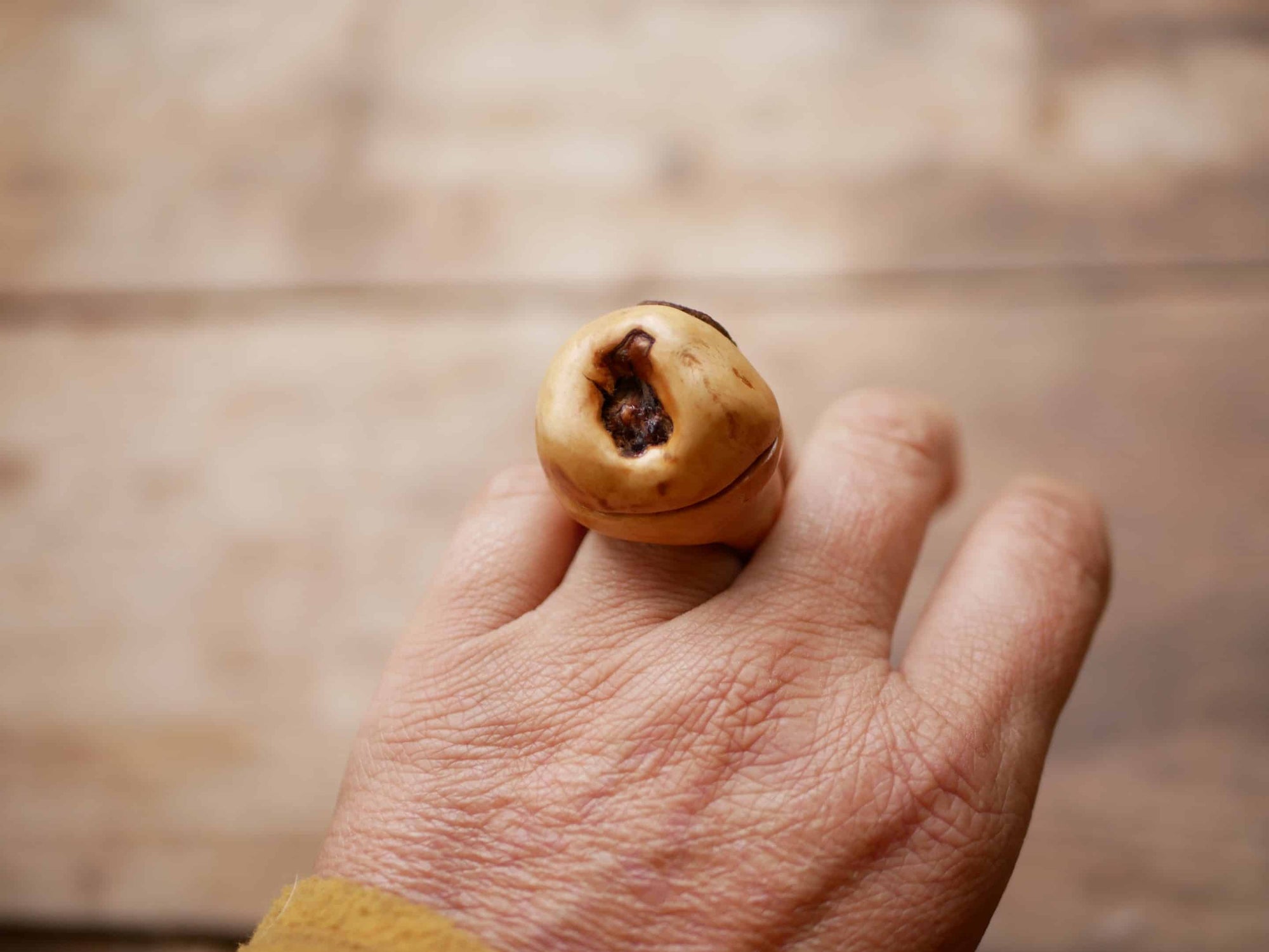 Baumperlen Ring Ringdose zum Öffnen