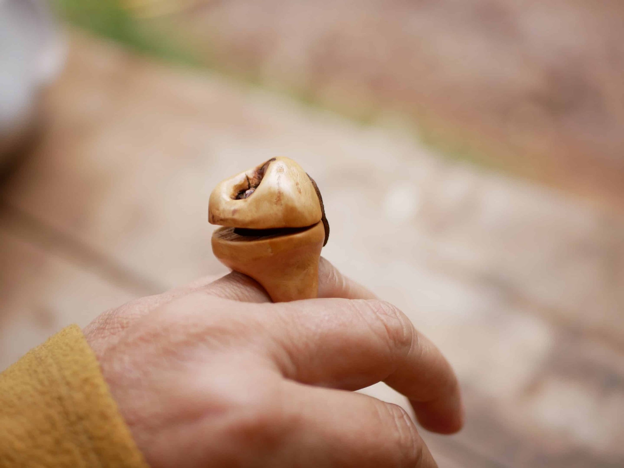 Baumperlen Ring Ringdose zum Öffnen