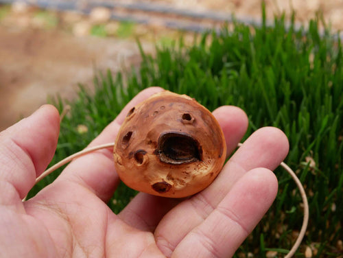 Planet aus Baumperle mit einem Astronauten der kleine Prinz like