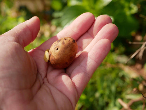 Ocarina aus Baumperle