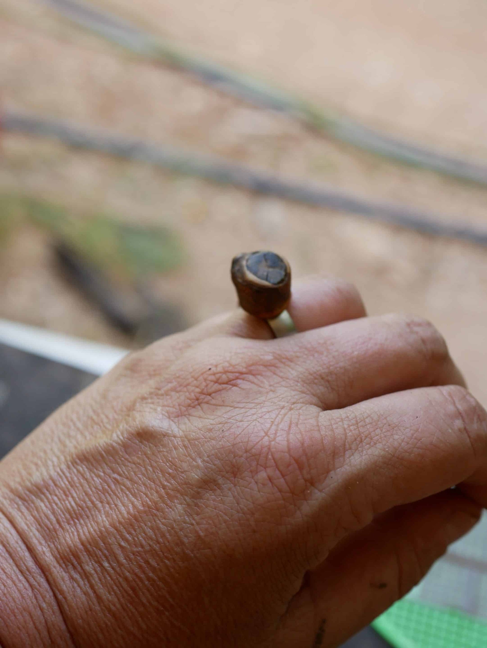 Ring Baumperle