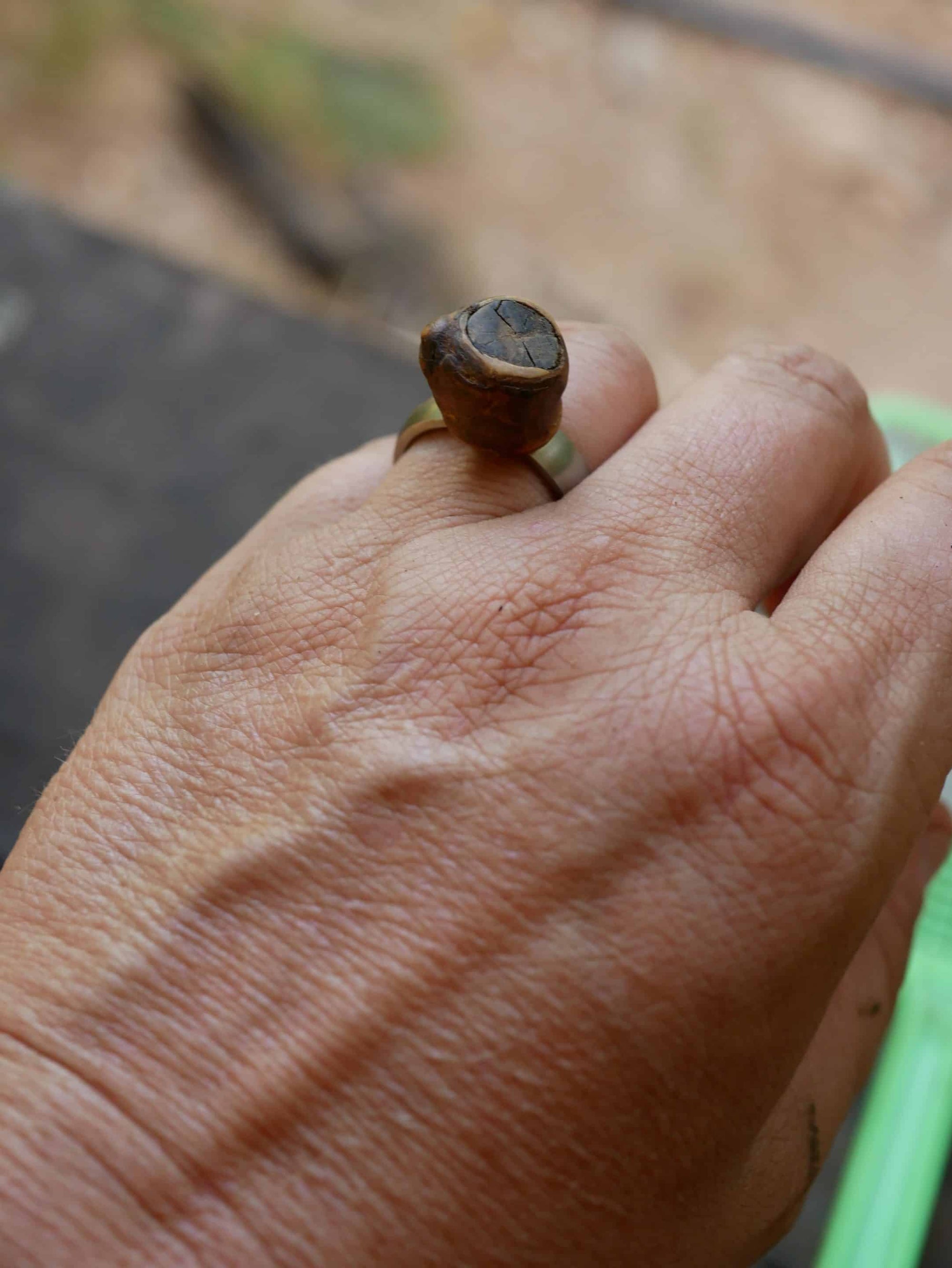 Ring Baumperle