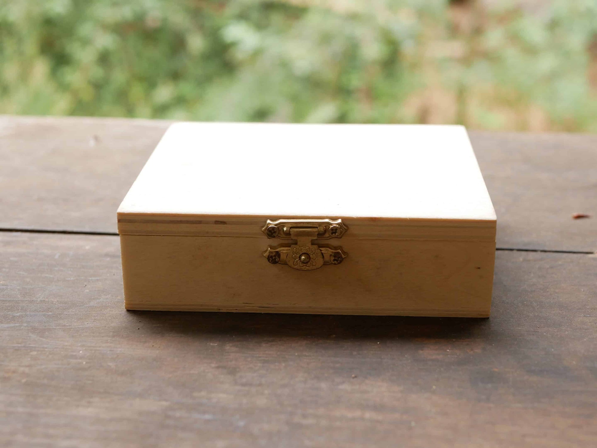 Baumperlen in einer Box
