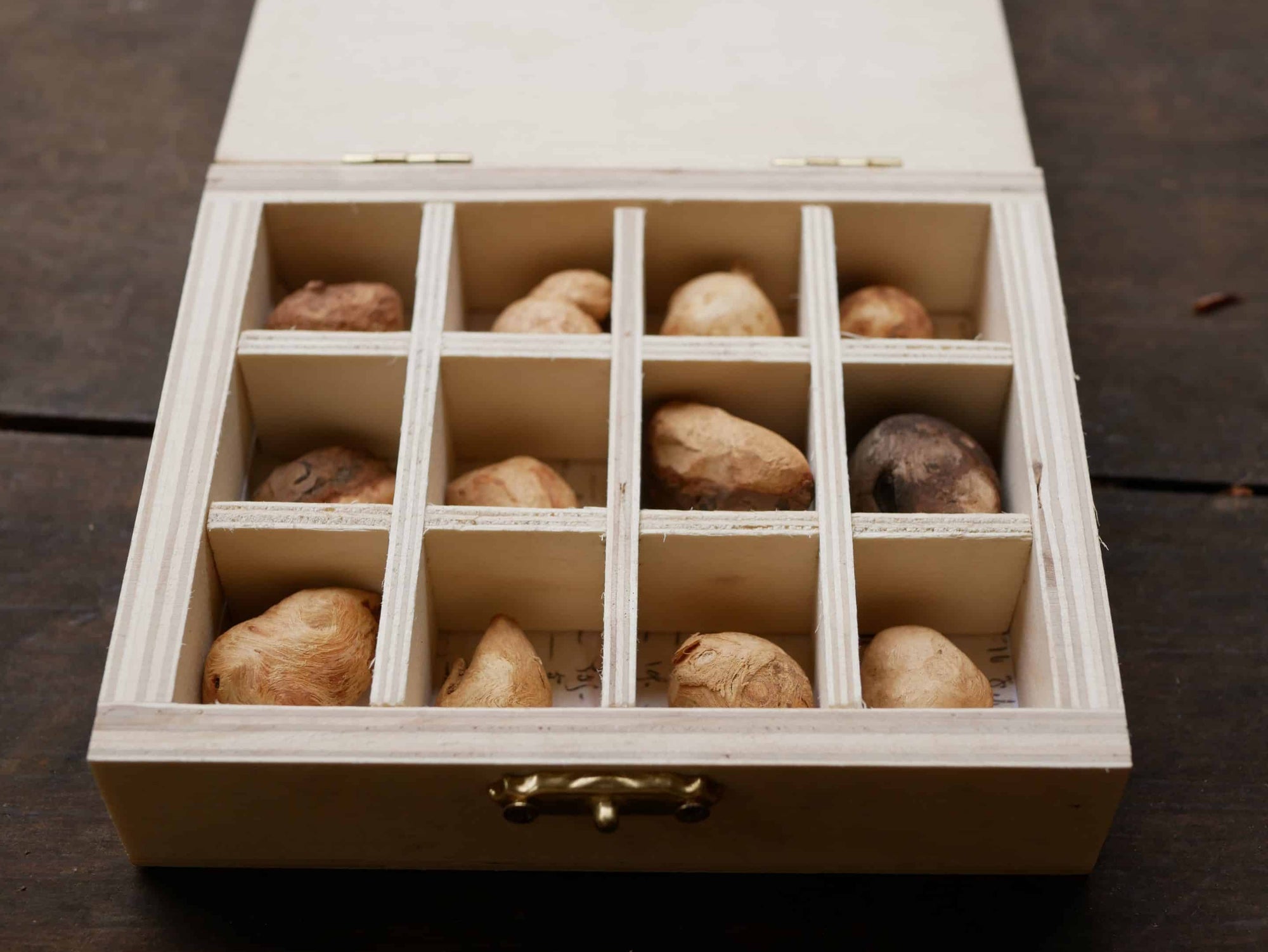 Baumperlen in einer Box