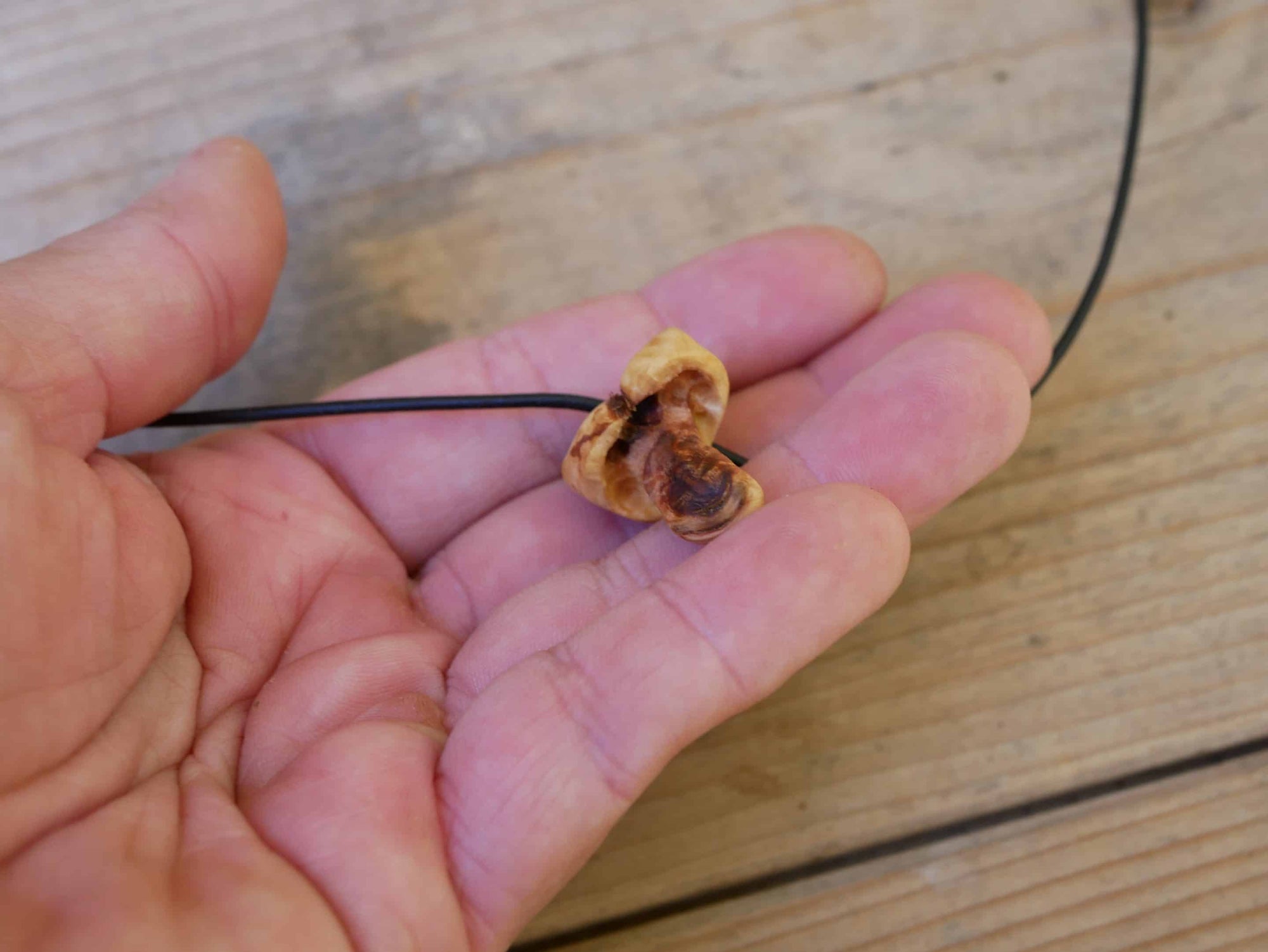 Pilz aus Baumperle