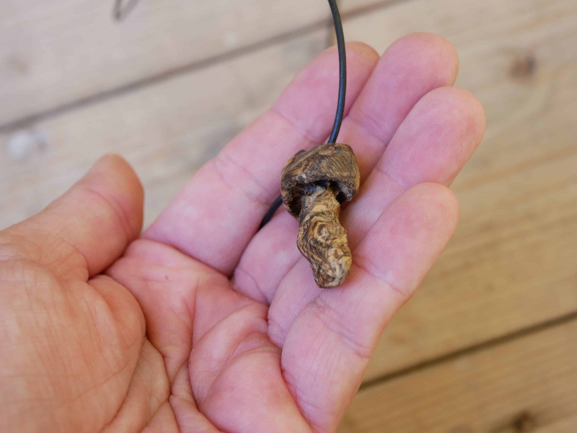 Pilz aus Baumperle