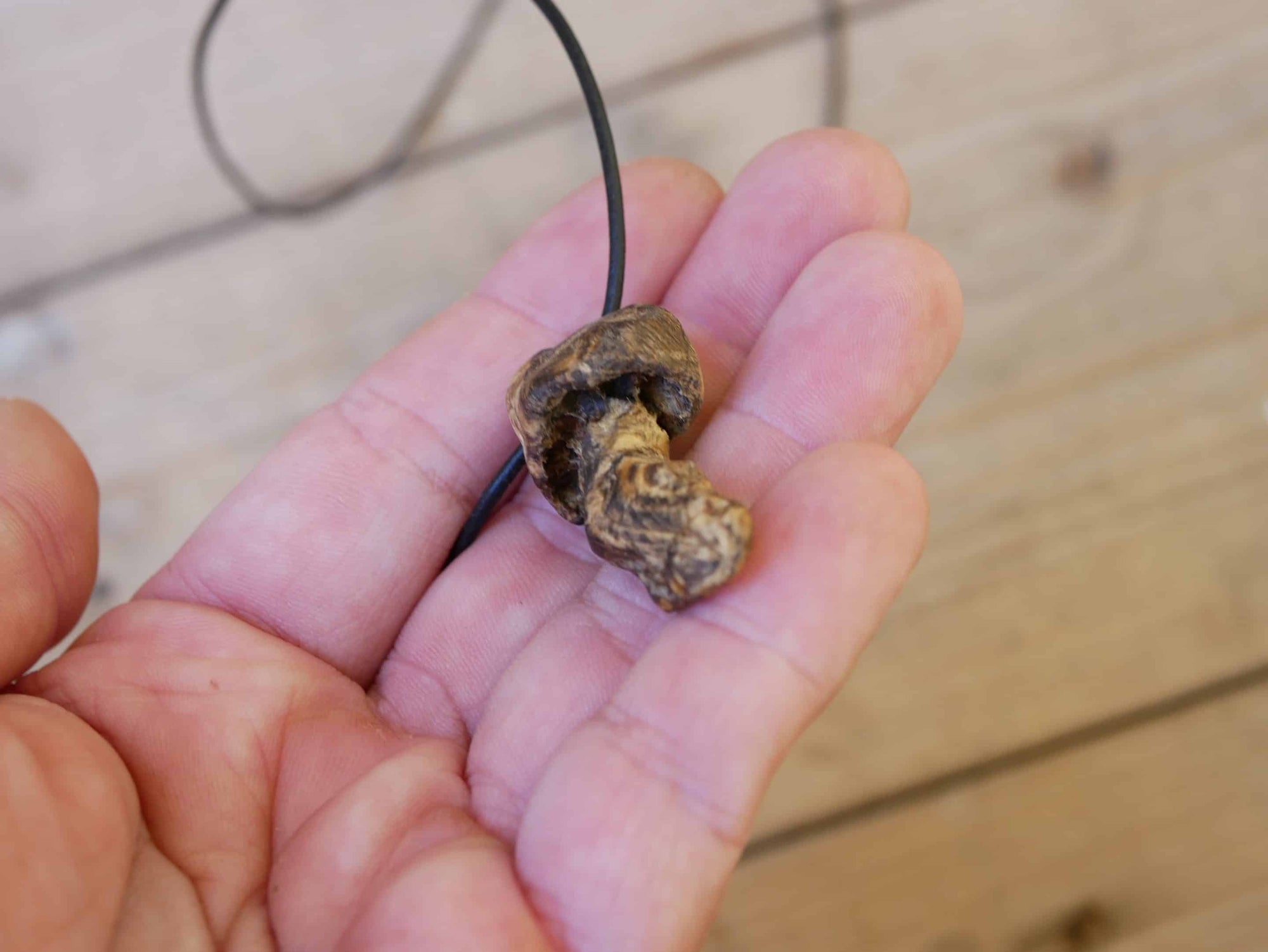 Pilz aus Baumperle