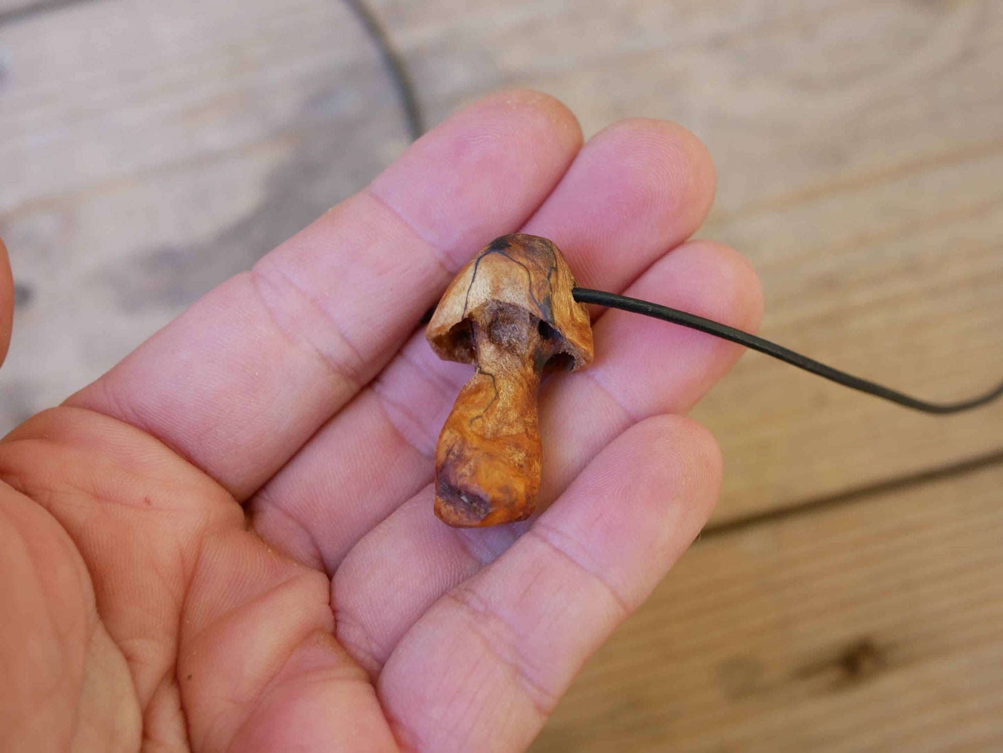 Pilz aus Baumperle