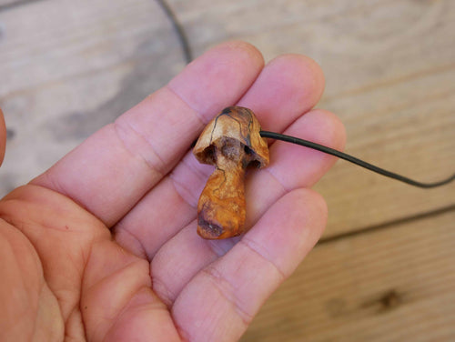 Pilz aus Baumperle