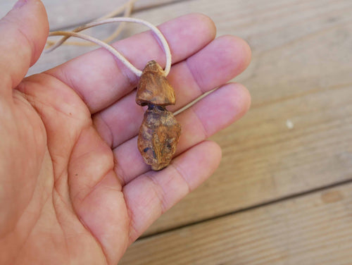 Pilz aus Baumperle