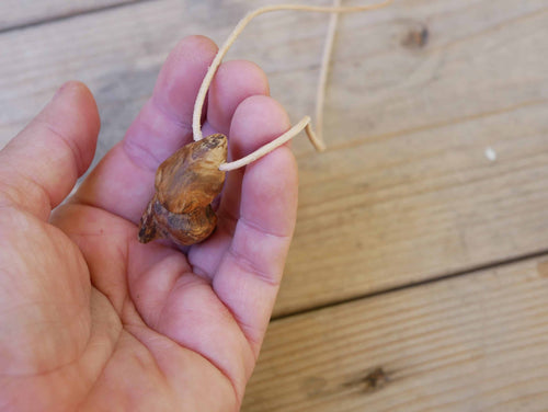 Pilz aus Baumperle