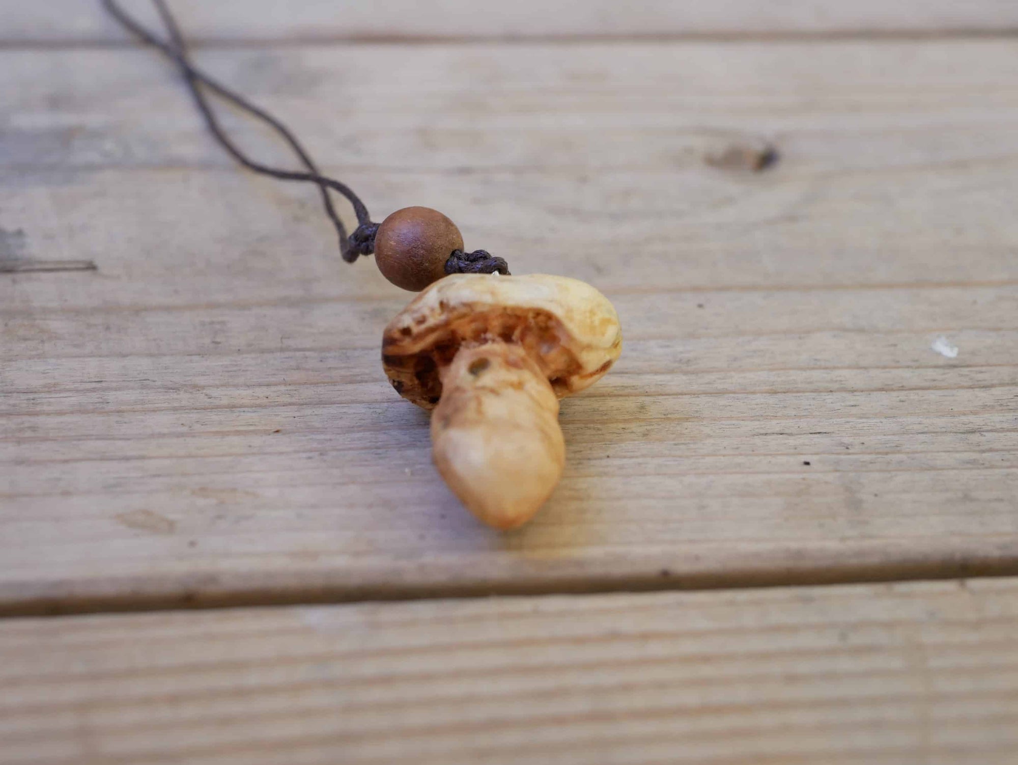 Pilz aus Baumperle