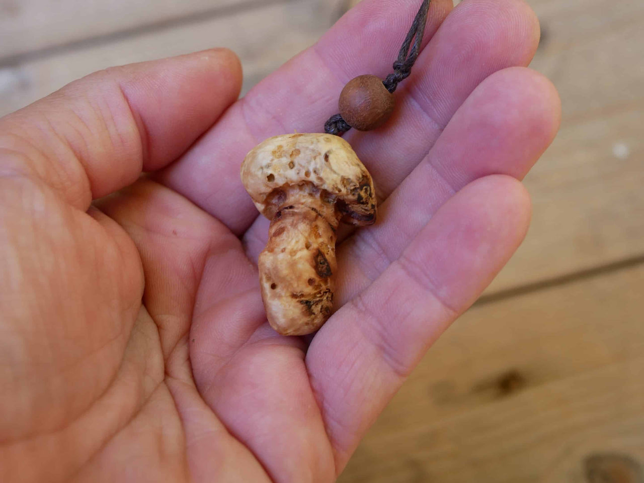 Pilz aus Baumperle