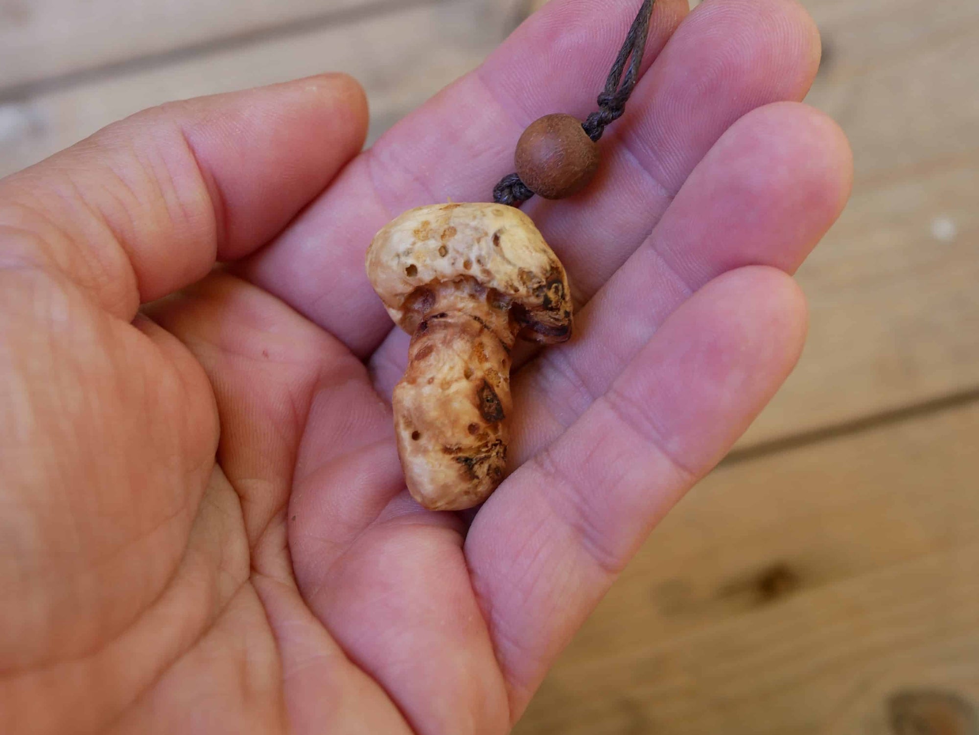 Pilz aus Baumperle